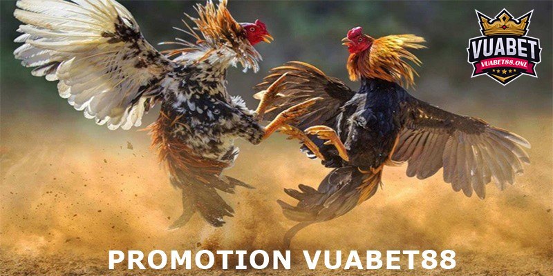 Link Đá Gà, Cập Nhật Chính Chủ, Mới Nhất 2024 Bởi Vuabet88 5 Khuyến mãi hấp dẫn